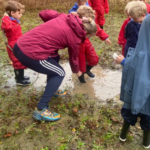 Learning in Nature